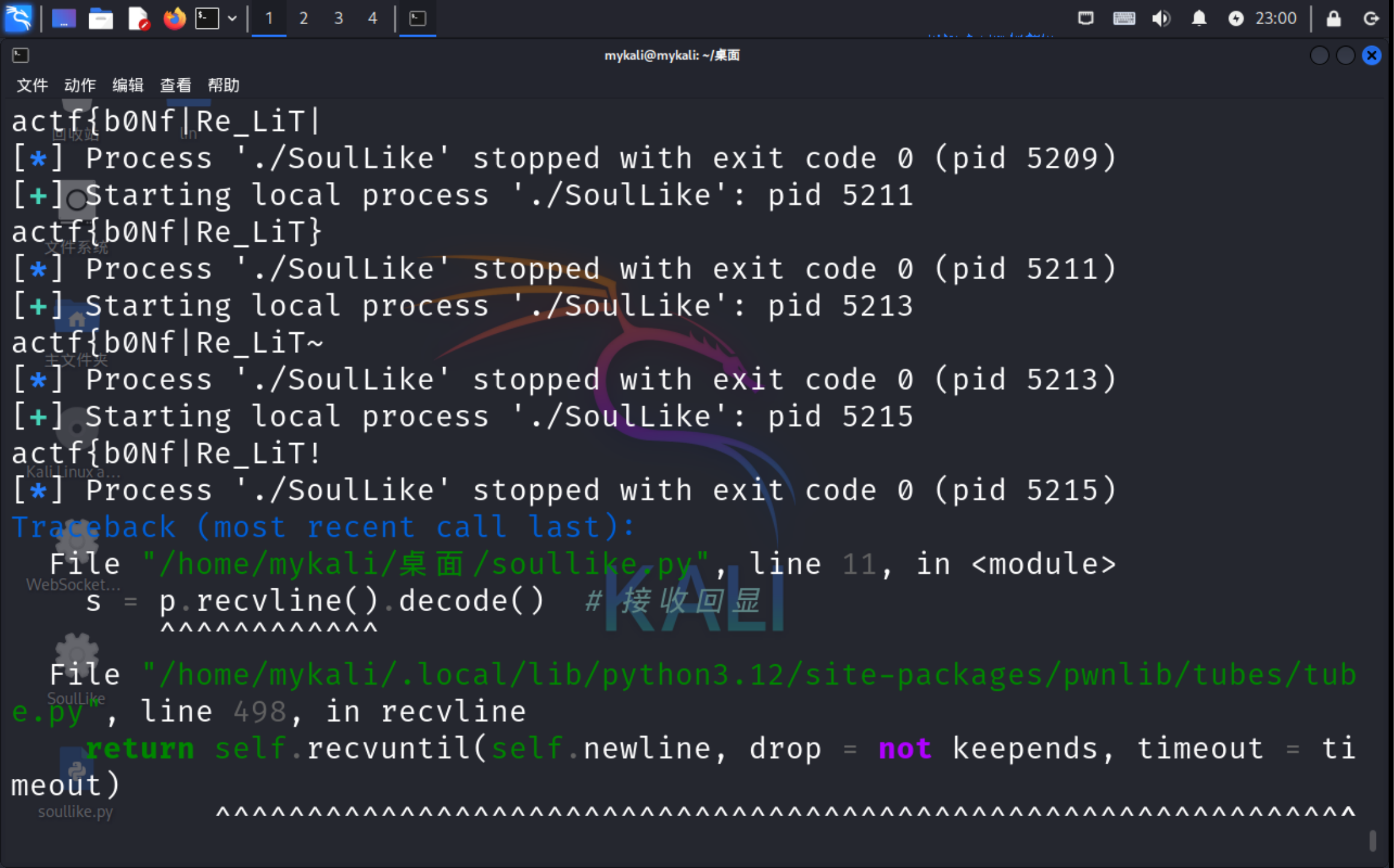 image-20250216230202330